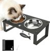 Elevated Cat Bowls with Splash Proof Mat for Kitten Puppy, 10Â° Tilted Raised Cat Bowl Stand Anti-Vomiting, 2 Wide Shallow Stainless Steel Bowls