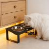 Elevated Cat Bowls with Splash Proof Mat for Kitten Puppy, 10Â° Tilted Raised Cat Bowl Stand Anti-Vomiting, 2 Wide Shallow Stainless Steel Bowls